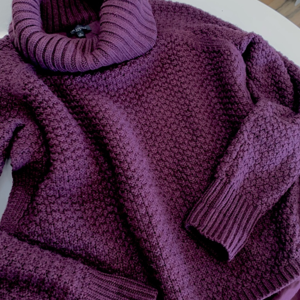 Dark Plum Limited Cowl Neck Lined Sweater
